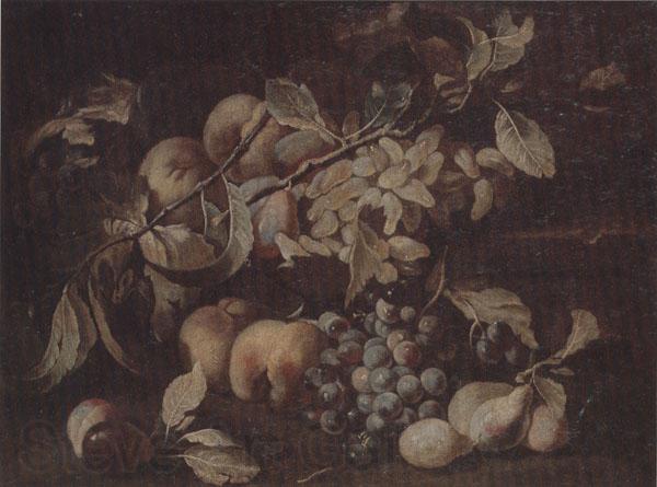 unknow artist Still life of red and white grapes,peaches and plums,on a stone ledge Norge oil painting art